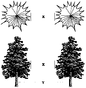 Portions of a tree for trimming